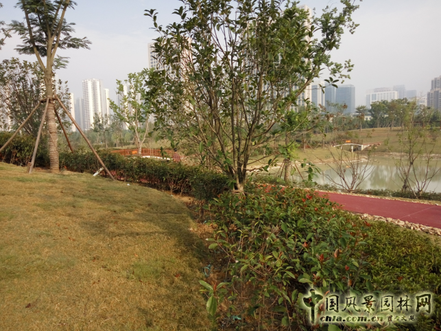 2016園冶杯:塘西河公園景觀(guān)（廣西路以西）綠化提升工程