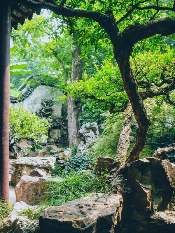 在江南古典園林豫園重拾上海的舊時(shí)光