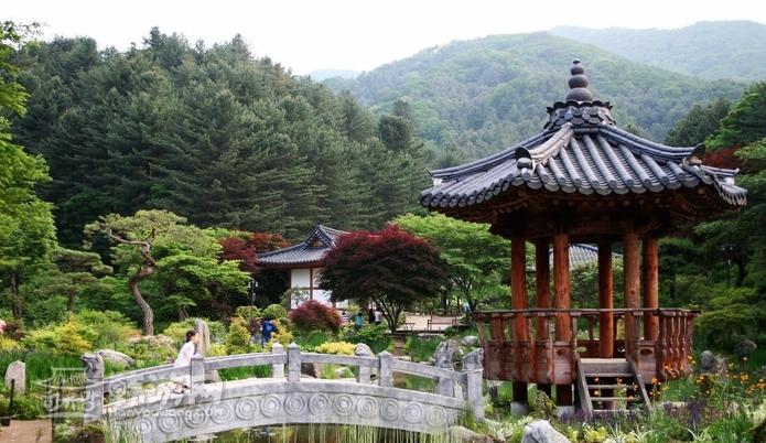 京畿道加平晨靜樹(shù)木園——賞楓賞菊的誘惑