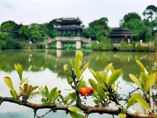上海這個(gè)深藏不露的絕美園林免費開(kāi)放10天