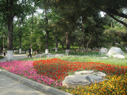 4月10日北京精品園林考察，火熱招募中！