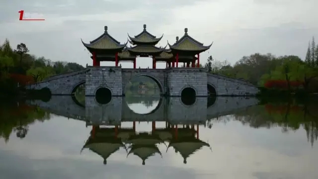 這城市根本就是座大園林！