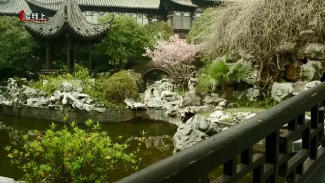 這城市根本就是座大園林！