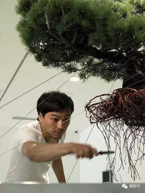 櫥窗布置：植物世界可以多極致？