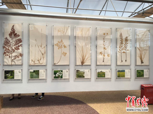 蒙草生態(tài)：數據化、科技化發(fā)展無(wú)處不在