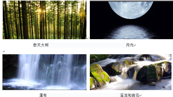 森林的再現-馬來(lái)西亞Azelia住宅區景觀(guān)