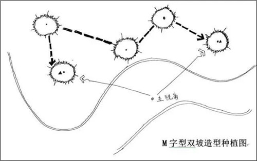 如何讓植物造景在景觀(guān)設計中更有范兒？