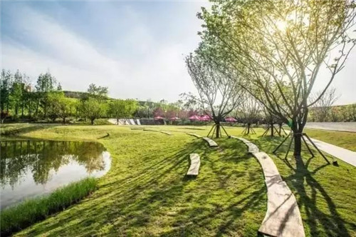 如何讓植物造景在景觀(guān)設計中更有范兒？