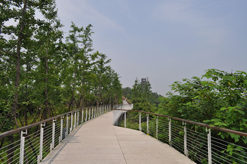園冶杯專(zhuān)業(yè)獎：鹿鳴公園景觀(guān)工程