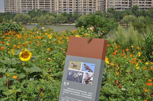 園冶杯專(zhuān)業(yè)獎：鹿鳴公園景觀(guān)工程