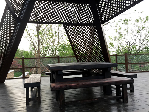 園冶杯專(zhuān)業(yè)獎：第九屆江蘇省園博會(huì )南通展園