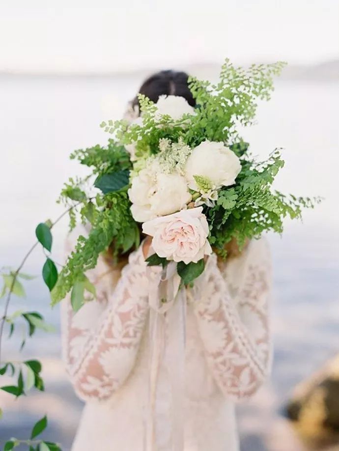 蕨類(lèi)植物的花藝美學(xué)