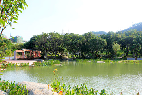 園冶杯專(zhuān)業(yè)獎：草庵公園荷花池核心區景觀(guān)設計
