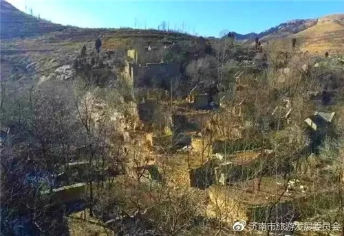濟南章丘這個(gè)古村落里竟藏著(zhù)顆千年古樹(shù)