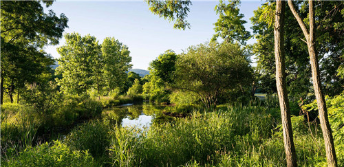 紐約Long Dock彈性濱河公園景觀(guān)設計