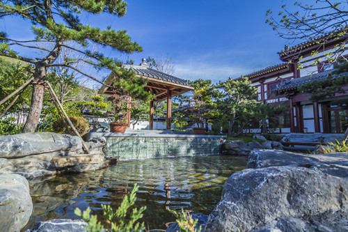 源樹(shù)作品：五臺山禪院