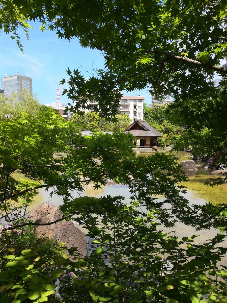 東京知名建筑與景觀(guān)參訪(fǎng) 與戶(hù)田芳樹(shù)大師對話(huà)