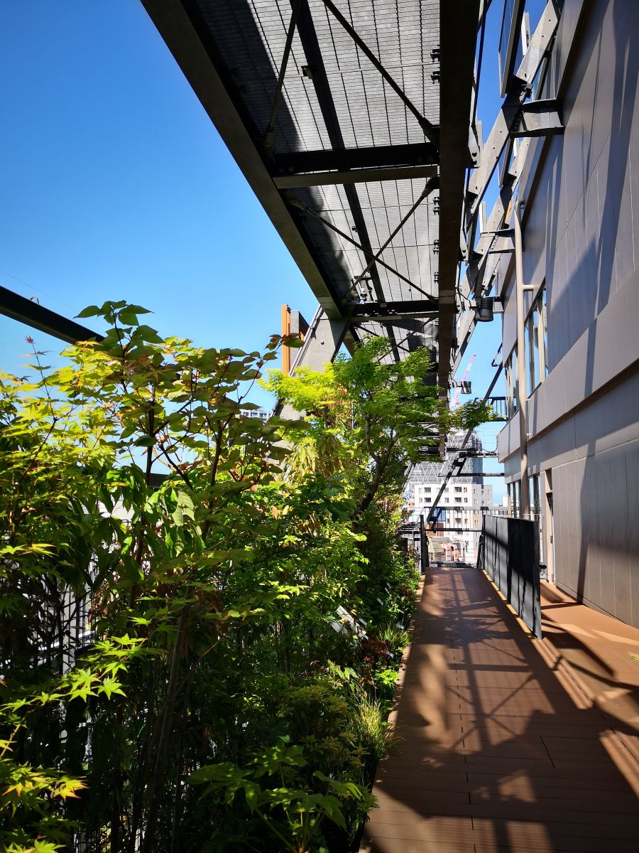 東京知名建筑與景觀(guān)參訪(fǎng) 與戶(hù)田芳樹(shù)大師對話(huà)