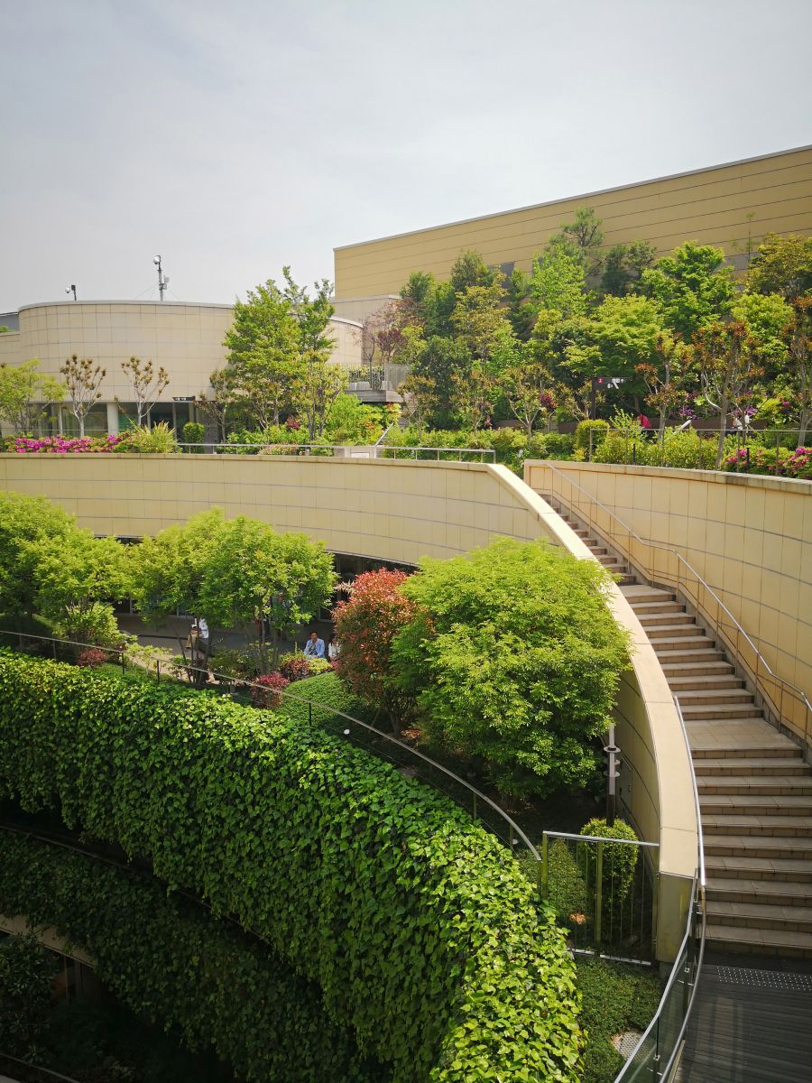 參觀(guān)大師安藤忠雄作品 考察大阪住宅與商業(yè)建筑