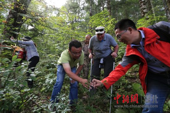 神農架管理人員入選聯(lián)合國教科文組織專(zhuān)家庫
