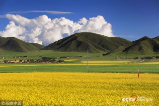 為保護生態(tài)環(huán)境景區發(fā)布禁游令 永葆綠洲生機
