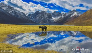 為保護生態(tài)環(huán)境景區發(fā)布禁游令 永葆綠洲生機