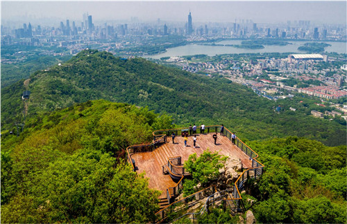 園冶杯專(zhuān)業(yè)獎：中山陵園風(fēng)景區頭陀嶺區域環(huán)境整治工程