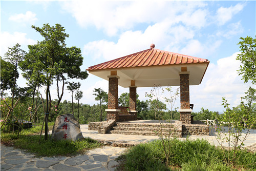 園冶杯專(zhuān)業(yè)獎：不忘初心·共建紅林