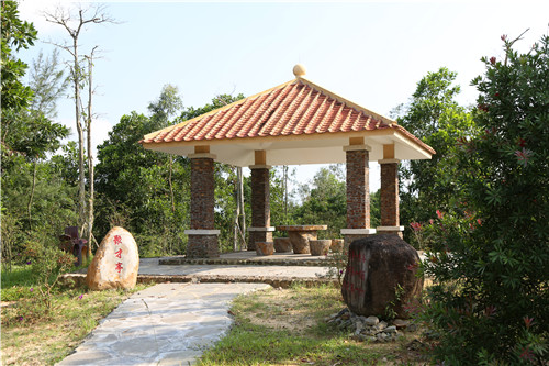 園冶杯專(zhuān)業(yè)獎：不忘初心·共建紅林