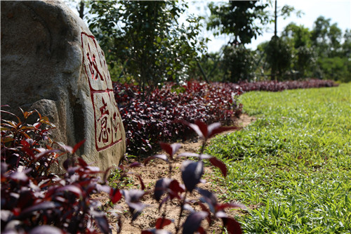 園冶杯專(zhuān)業(yè)獎：不忘初心·共建紅林