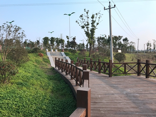園冶杯專(zhuān)業(yè)獎：店忠路（新合馬路至環(huán)巢湖大道段）改建工程景觀(guān)設計