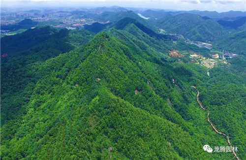 林城山水中，享一份寧靜——廣東中山國家森林公園