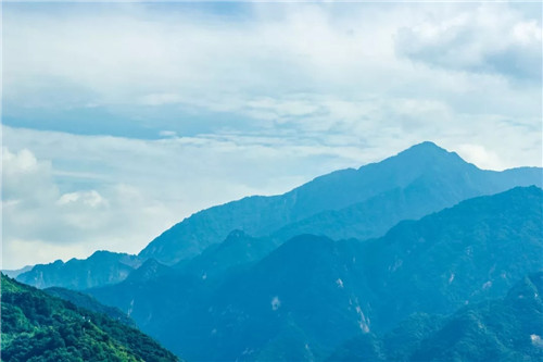 超低造價(jià)的生態(tài)景觀(guān) | 秦嶺國家植物園人工濕地