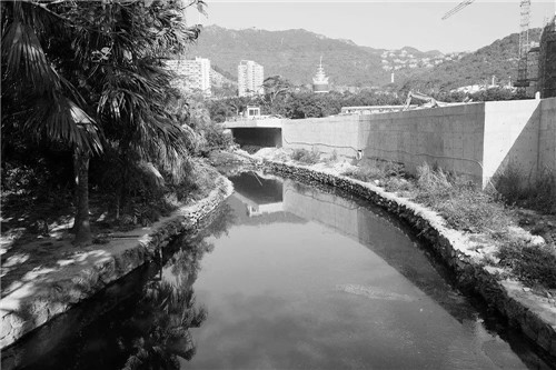 文科園林丨深圳大梅沙河景觀(guān)改造設計