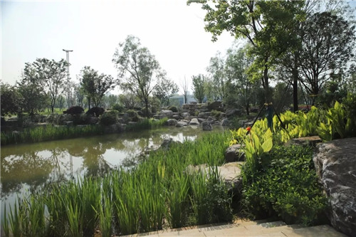 2019園冶杯專(zhuān)業(yè)獎丨長(cháng)沙市望城區“一路一園”建設工程項目銀星灣公園