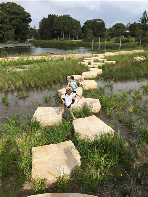 2019園冶杯專(zhuān)業(yè)獎大獎丨悉尼公園水再利用工程景觀(guān)設計