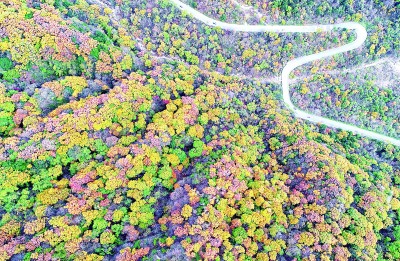 楊銳：在秦巴山脈構建國家公園