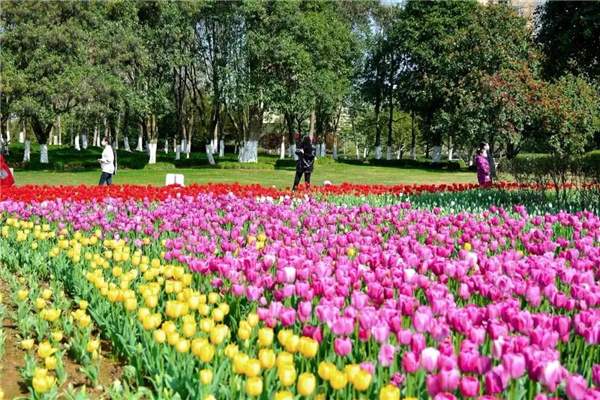 可齋景觀(guān)丨寧波·鄞州公園一期八景提升