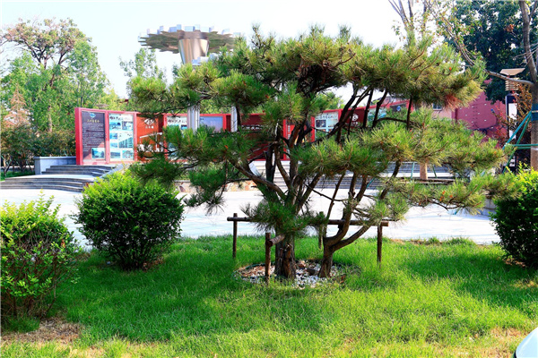 丨冶金園