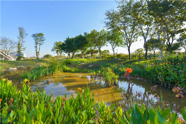 佛山西江產(chǎn)業(yè)新城景觀(guān)設計
