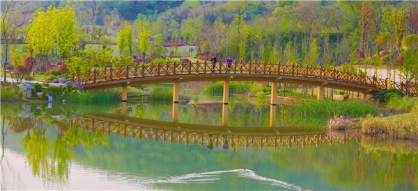 盤(pán)龍山景觀(guān)綠化提升工程設計施工總承包(EPC)