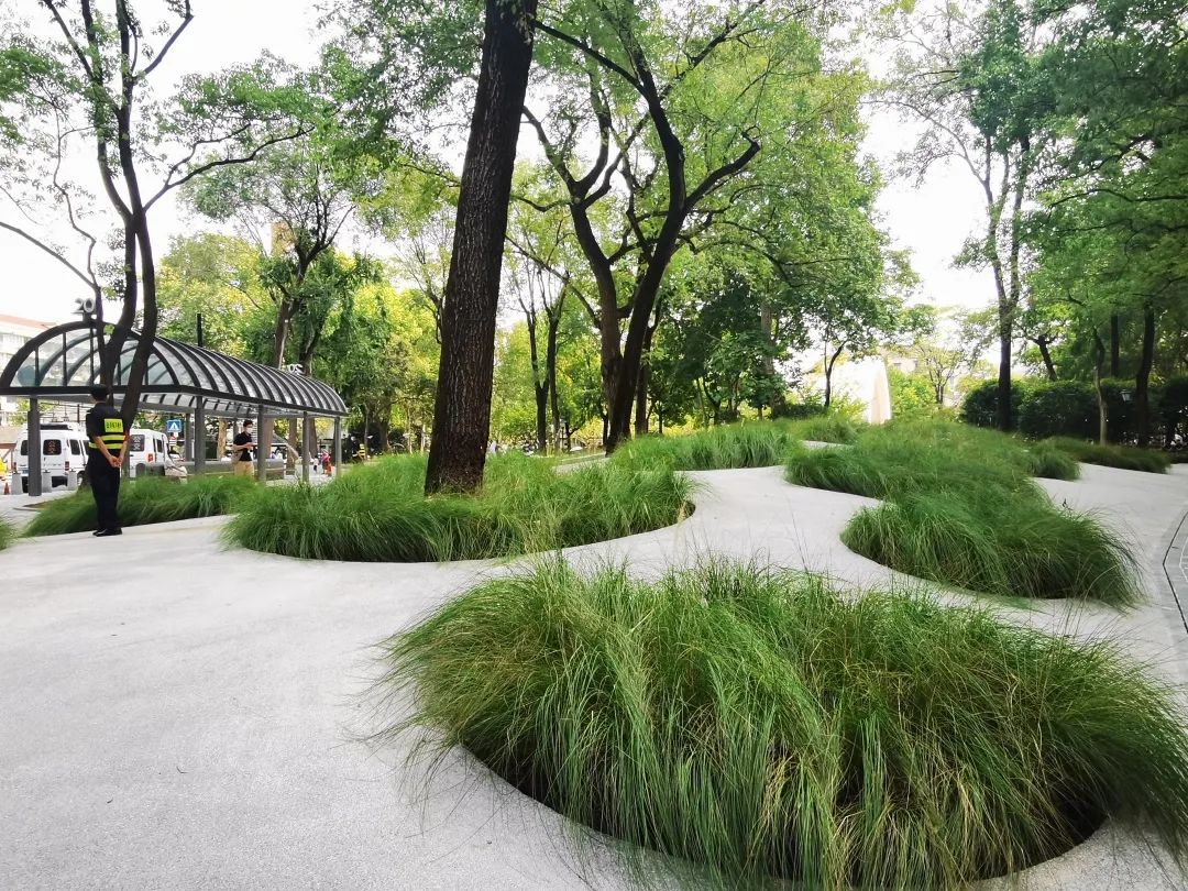上海：百年中山公園拆墻 以全新姿態(tài)融入蘇州河公共空間