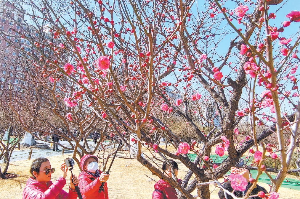 北京：百座無(wú)界公園迎來(lái)首個(gè)春天