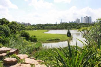 深圳華美綠：深圳福田區紀念公園園林綠化工程