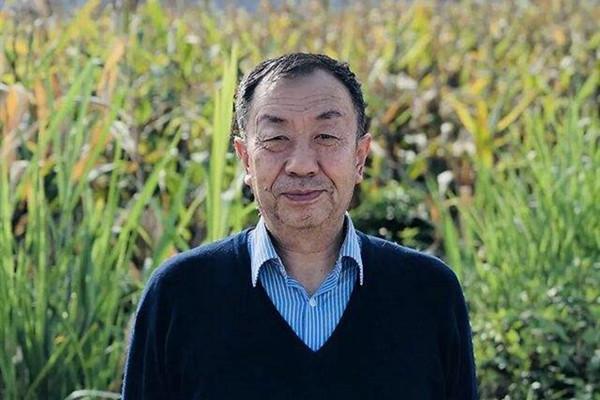 黨國英：城鄉居住形態(tài)對公共安全影響