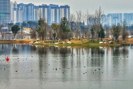 成都不斷探索公園城市建設實(shí)踐路徑